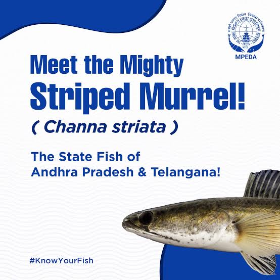 WhatsApp Image 2025-07-25 at 18.37.56_e05cbc77.jpg